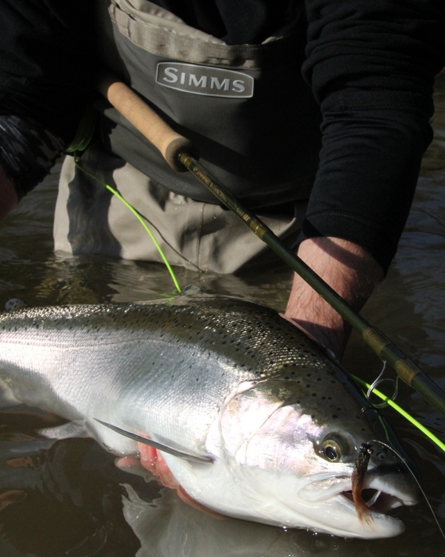 Fly Fishing Guide: Here's What You Need To Know